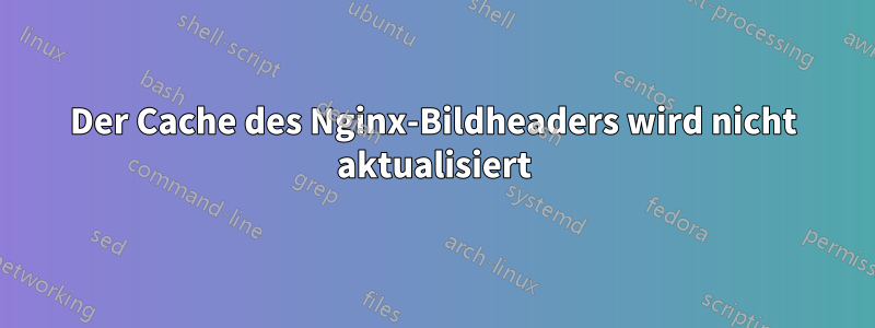 Der Cache des Nginx-Bildheaders wird nicht aktualisiert
