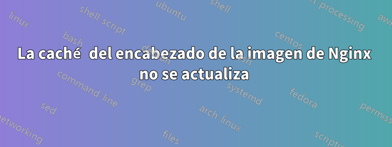 La caché del encabezado de la imagen de Nginx no se actualiza