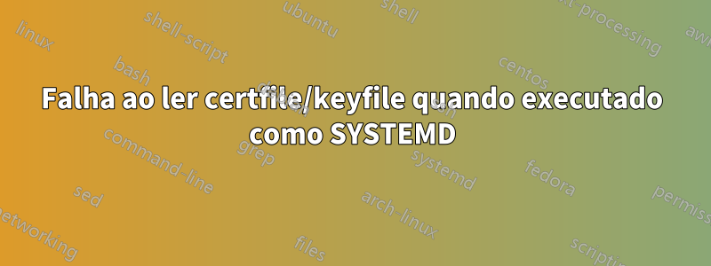 Falha ao ler certfile/keyfile quando executado como SYSTEMD