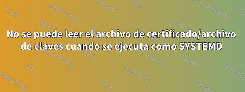 No se puede leer el archivo de certificado/archivo de claves cuando se ejecuta como SYSTEMD