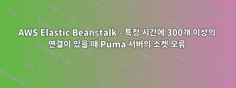 AWS Elastic Beanstalk - 특정 시간에 300개 이상의 연결이 있을 때 Puma 서버의 소켓 오류