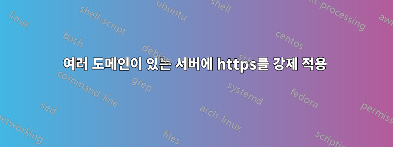 여러 도메인이 있는 서버에 https를 강제 적용