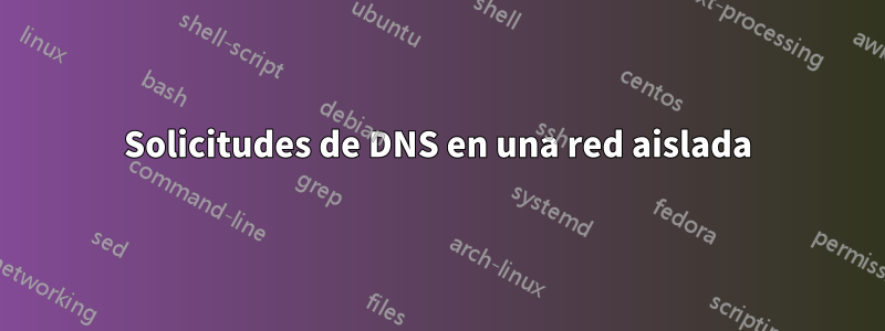 Solicitudes de DNS en una red aislada