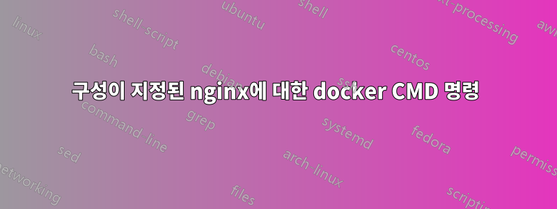 구성이 지정된 nginx에 대한 docker CMD 명령