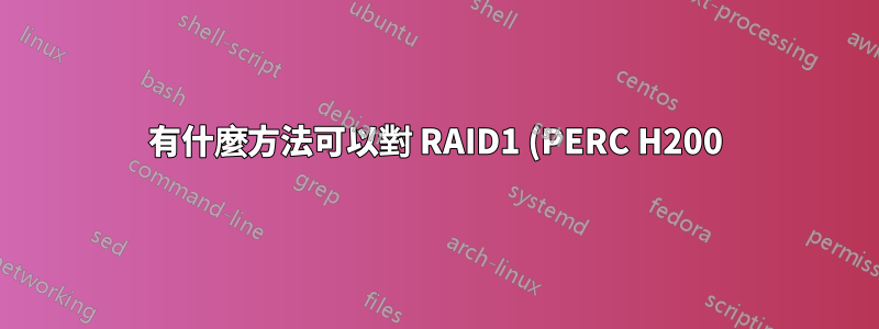 有什麼方法可以對 RAID1 (PERC H200) 控制器後面的 SAS 磁碟機進行十六進位轉儲嗎?