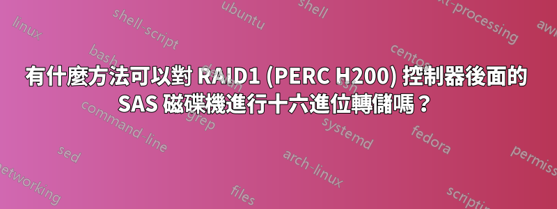 有什麼方法可以對 RAID1 (PERC H200) 控制器後面的 SAS 磁碟機進行十六進位轉儲嗎？