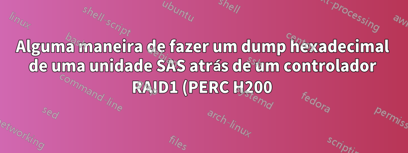 Alguma maneira de fazer um dump hexadecimal de uma unidade SAS atrás de um controlador RAID1 (PERC H200)?