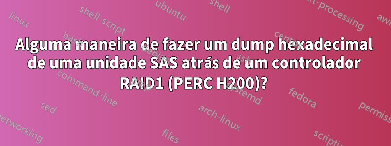 Alguma maneira de fazer um dump hexadecimal de uma unidade SAS atrás de um controlador RAID1 (PERC H200)?
