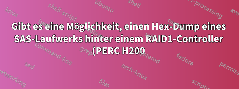 Gibt es eine Möglichkeit, einen Hex-Dump eines SAS-Laufwerks hinter einem RAID1-Controller (PERC H200) zu erstellen?