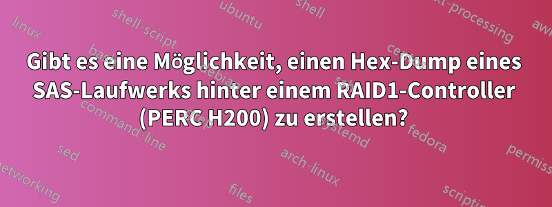 Gibt es eine Möglichkeit, einen Hex-Dump eines SAS-Laufwerks hinter einem RAID1-Controller (PERC H200) zu erstellen?