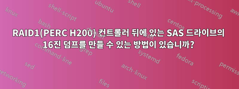 RAID1(PERC H200) 컨트롤러 뒤에 있는 SAS 드라이브의 16진 덤프를 만들 수 있는 방법이 있습니까?