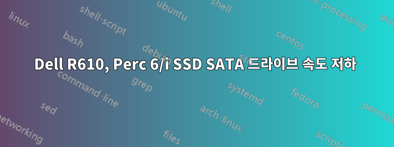 Dell R610, Perc 6/i SSD SATA 드라이브 속도 저하