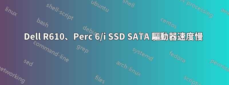 Dell R610、Perc 6/i SSD SATA 驅動器速度慢