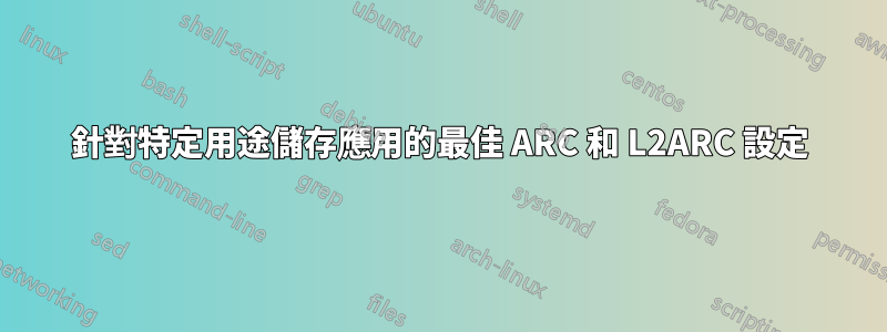 針對特定用途儲存應用的最佳 ARC 和 L2ARC 設定