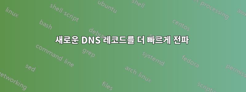 새로운 DNS 레코드를 더 빠르게 전파