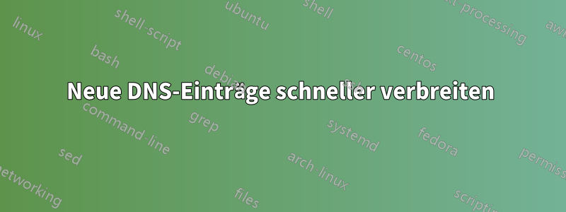 Neue DNS-Einträge schneller verbreiten
