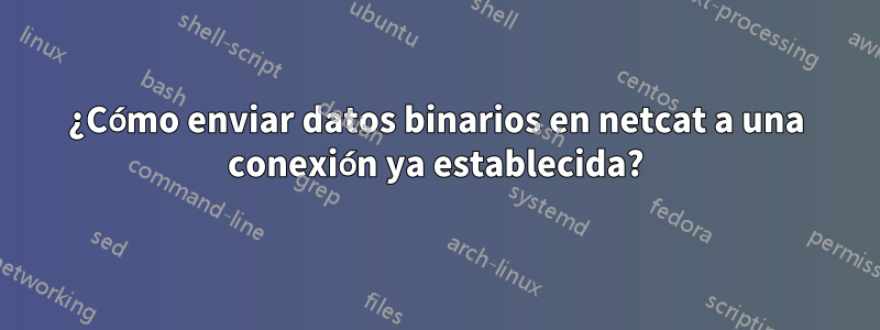¿Cómo enviar datos binarios en netcat a una conexión ya establecida?