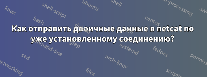 Как отправить двоичные данные в netcat по уже установленному соединению?