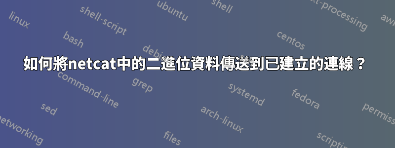 如何將netcat中的二進位資料傳送到已建立的連線？