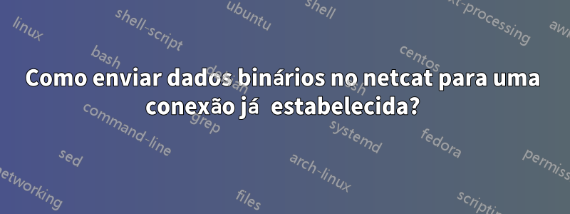 Como enviar dados binários no netcat para uma conexão já estabelecida?