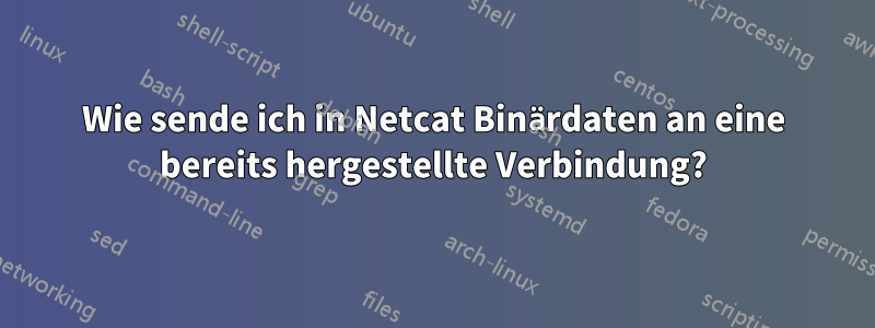 Wie sende ich in Netcat Binärdaten an eine bereits hergestellte Verbindung?