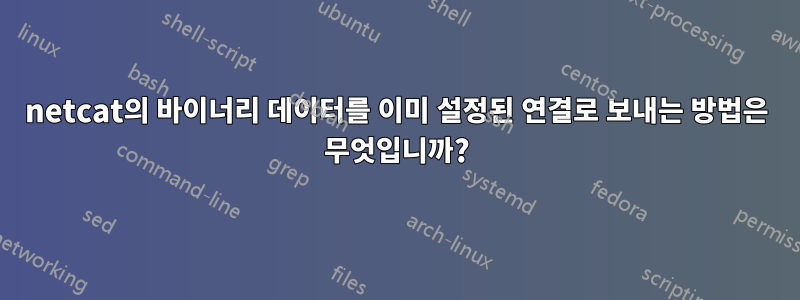 netcat의 바이너리 데이터를 이미 설정된 연결로 보내는 방법은 무엇입니까?