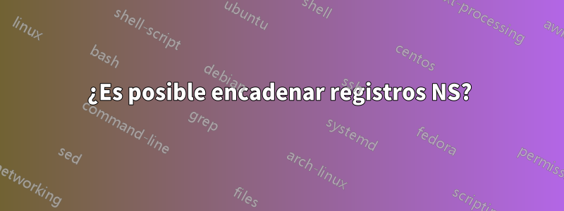 ¿Es posible encadenar registros NS?