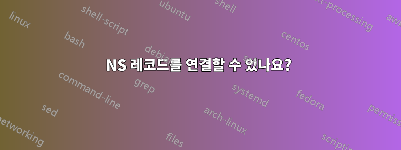 NS 레코드를 연결할 수 있나요?