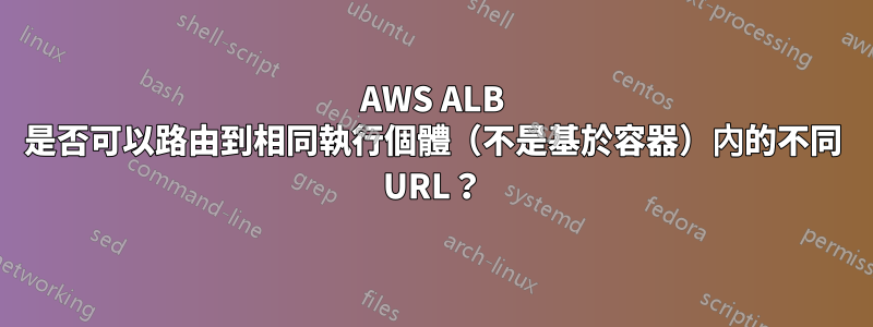 AWS ALB 是否可以路由到相同執行個體（不是基於容器）內的不同 URL？