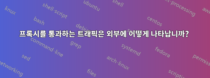프록시를 통과하는 트래픽은 외부에 어떻게 나타납니까?