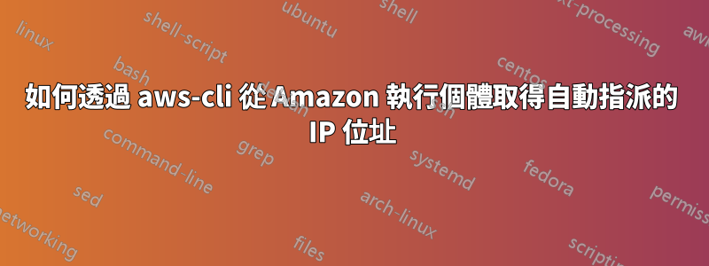 如何透過 aws-cli 從 Amazon 執行個體取得自動指派的 IP 位址