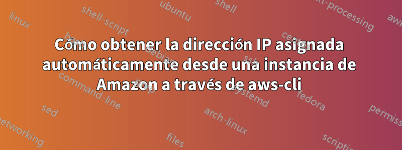 Cómo obtener la dirección IP asignada automáticamente desde una instancia de Amazon a través de aws-cli