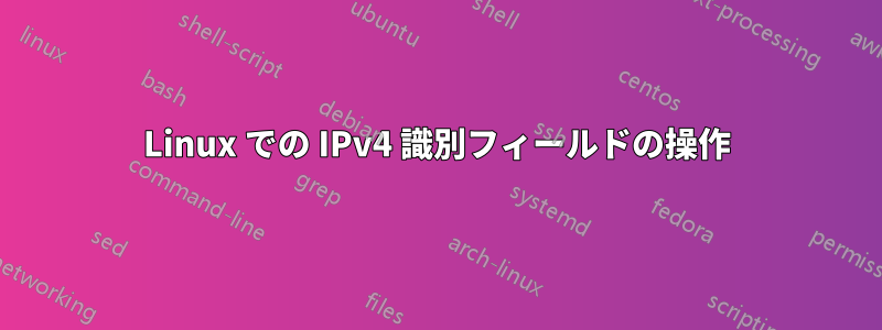 Linux での IPv4 識別フィールドの操作