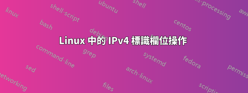 Linux 中的 IPv4 標識欄位操作