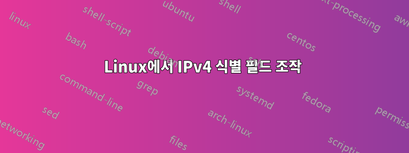 Linux에서 IPv4 식별 필드 조작