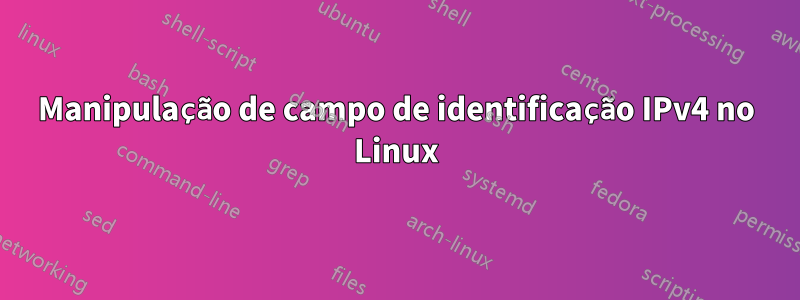 Manipulação de campo de identificação IPv4 no Linux