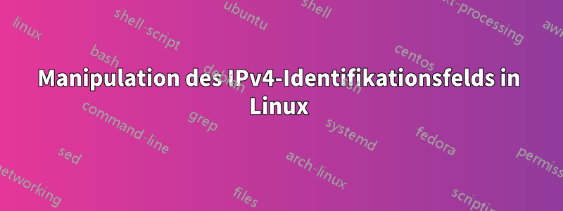 Manipulation des IPv4-Identifikationsfelds in Linux