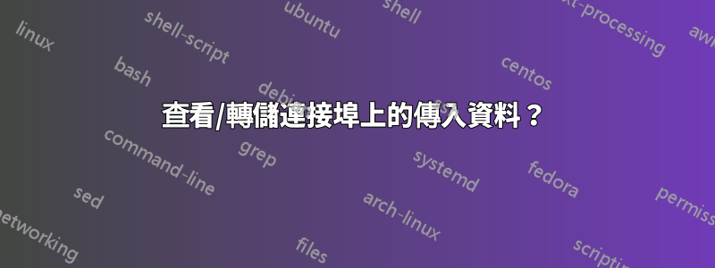 查看/轉儲連接埠上的傳入資料？