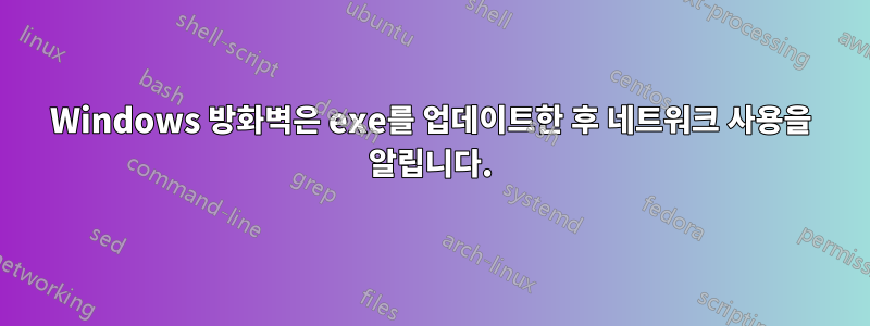 Windows 방화벽은 exe를 업데이트한 후 네트워크 사용을 알립니다.