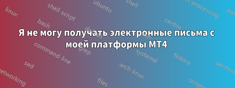 Я не могу получать электронные письма с моей платформы MT4
