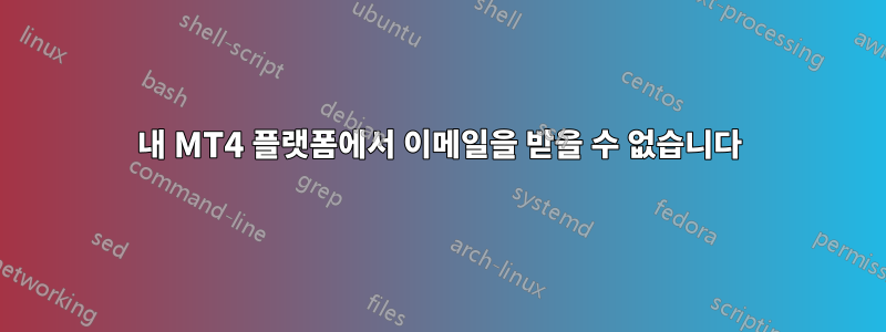 내 MT4 플랫폼에서 이메일을 받을 수 없습니다