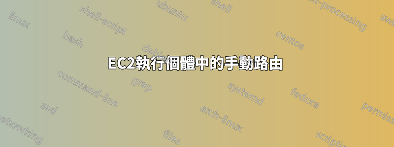EC2執行個體中的手動路由