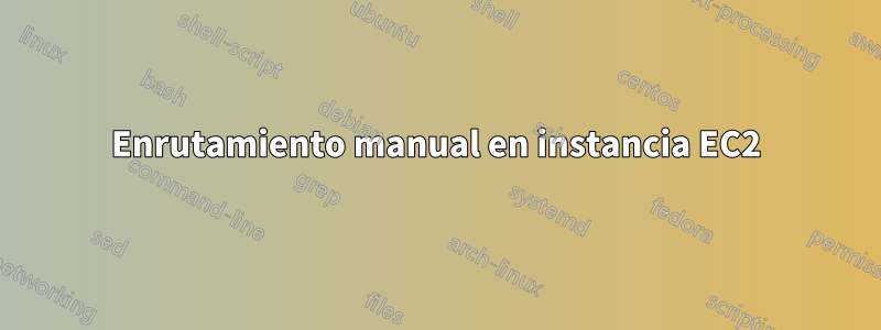 Enrutamiento manual en instancia EC2