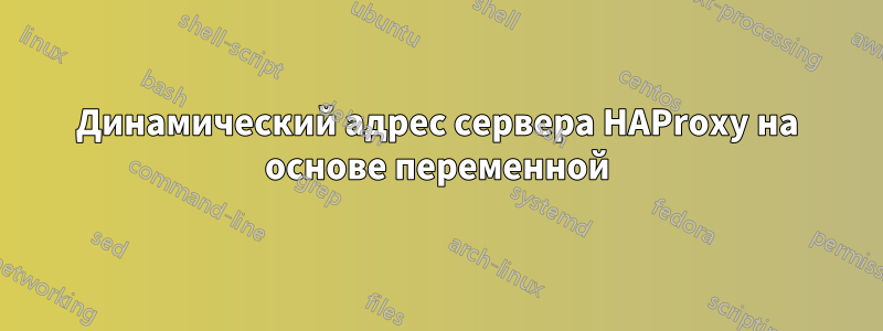 Динамический адрес сервера HAProxy на основе переменной