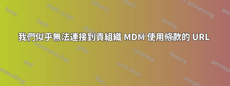 我們似乎無法連接到貴組織 MDM 使用條款的 URL