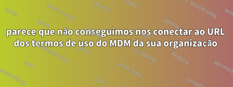 parece que não conseguimos nos conectar ao URL dos termos de uso do MDM da sua organização