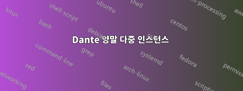 Dante 양말 다중 인스턴스