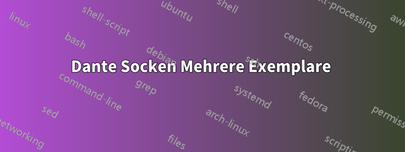 Dante Socken Mehrere Exemplare