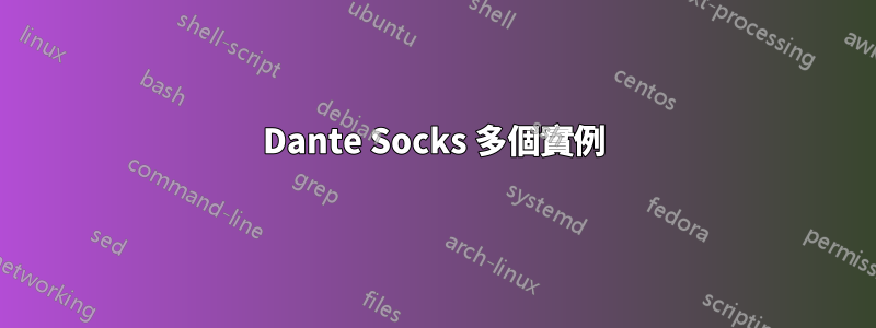 Dante Socks 多個實例