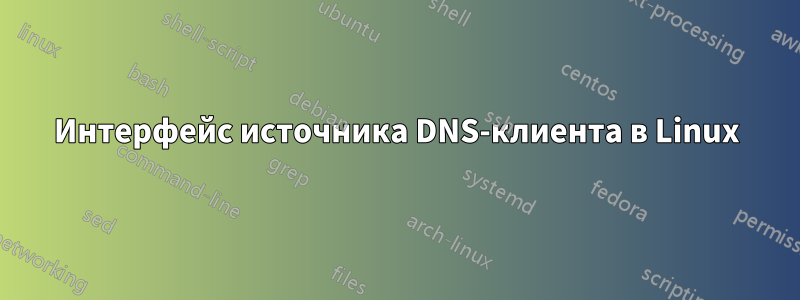 Интерфейс источника DNS-клиента в Linux